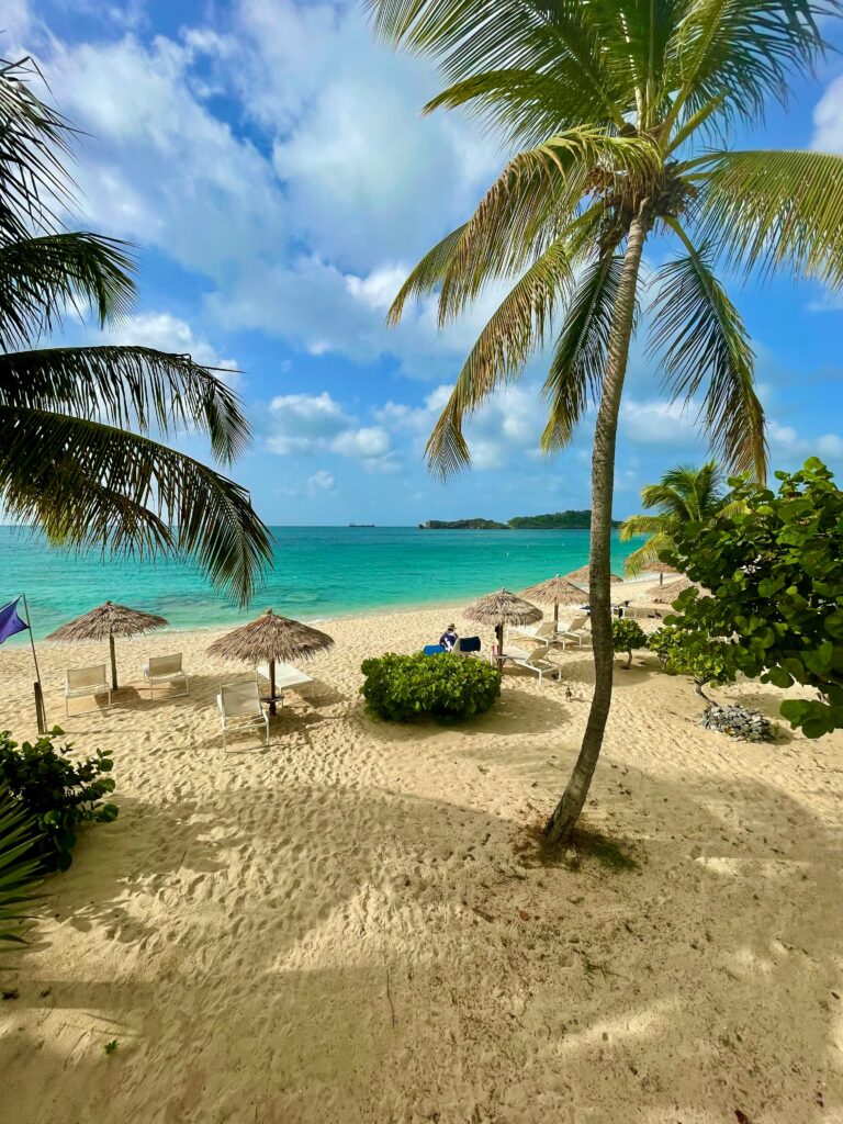 Palm trees and turquoise waters on a sandy beach in Antigua, perfect for a tropical getaway.
